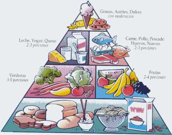 Resultado de imagen de Funciones de los principales nutrientes en el organismo